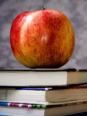 在线电话轰炸网页版