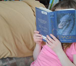 在线短信轰炸工具